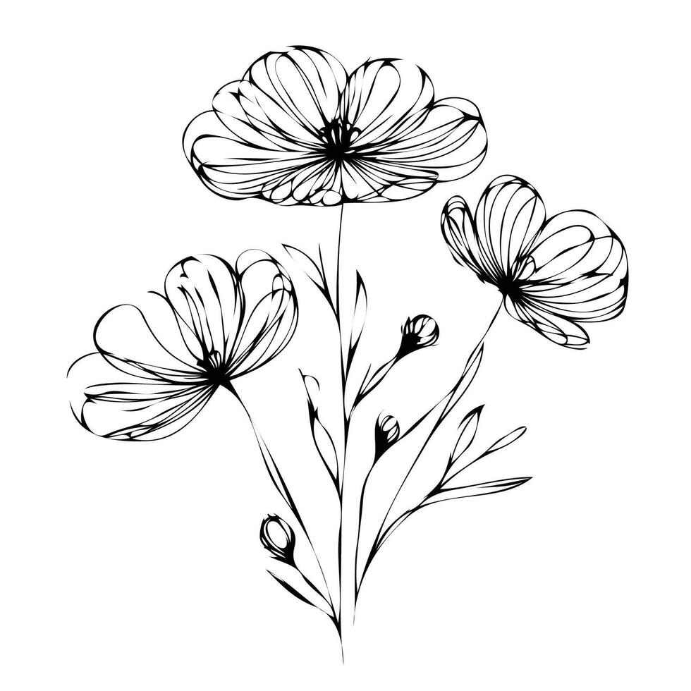 Cosmos flowers black and white sketch illustration vector
