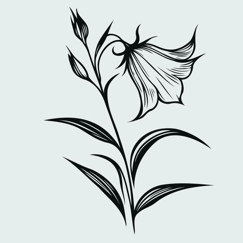 A black and white drawing of a flower vector