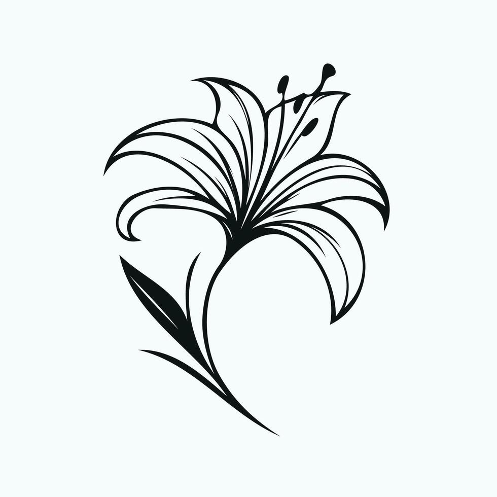 A black and white lily flower on a white background vector