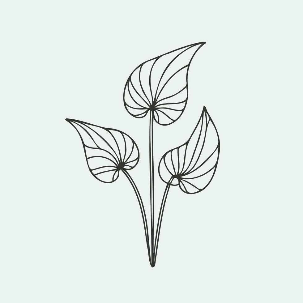 A line drawing of a plant with leaves vector