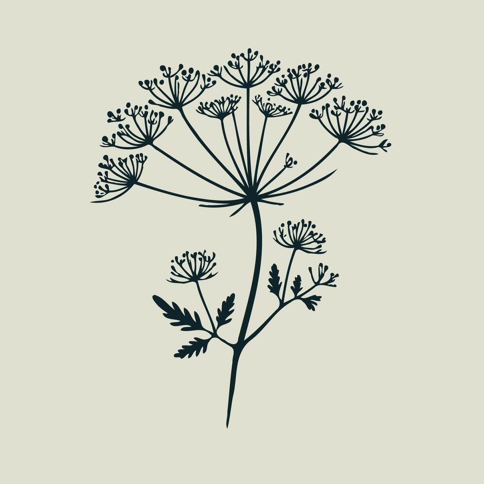 illustration of a plant with leaves and flowers vector