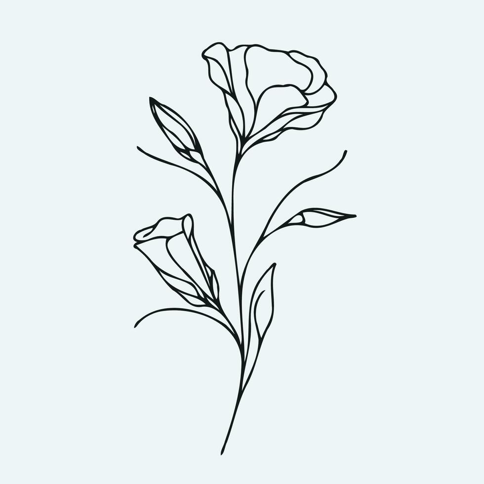 A drawing of a flower with leaves vector