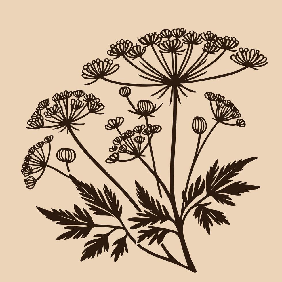 illustration of a plant with leaves and flowers vector