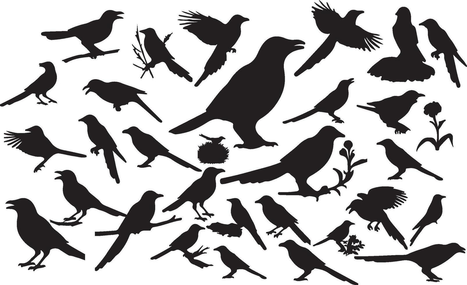 Magpie Silhouette Collection for Wildlife and Nature Designs vector