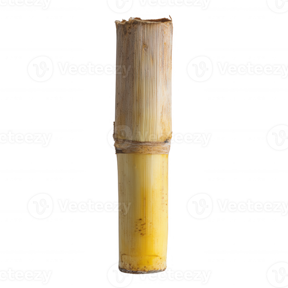 A close-up of a natural bamboo stalk showcasing its unique texture and color. png