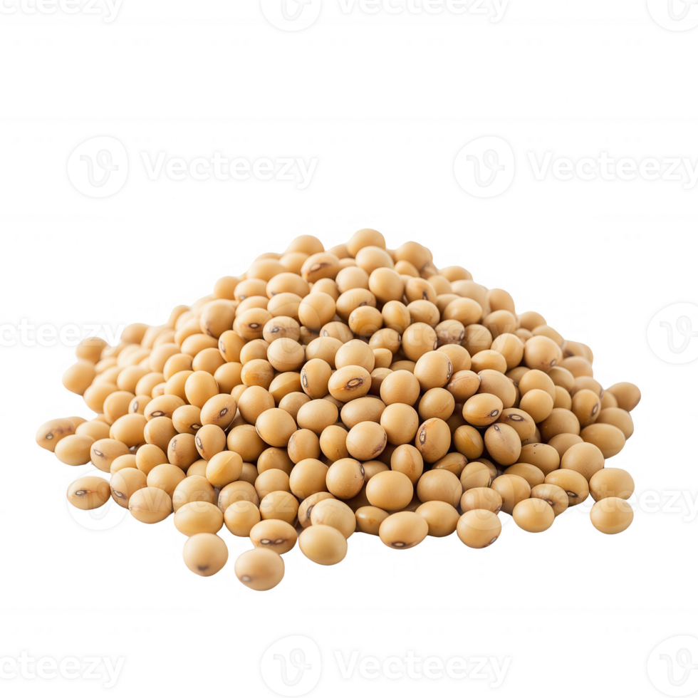 A close-up view of a pile of yellow soybeans on a white background. png