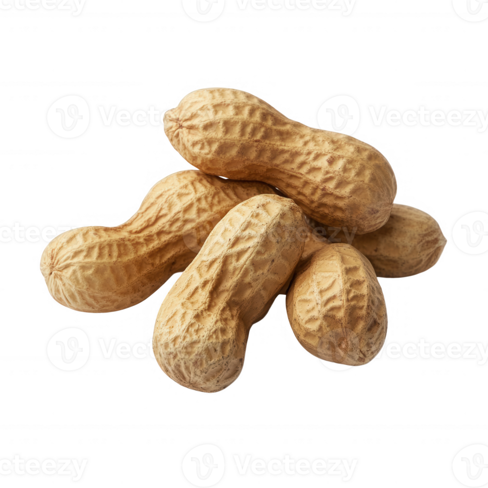 A pile of raw, unprocessed peanuts with a textured shell, ideal for culinary uses. png