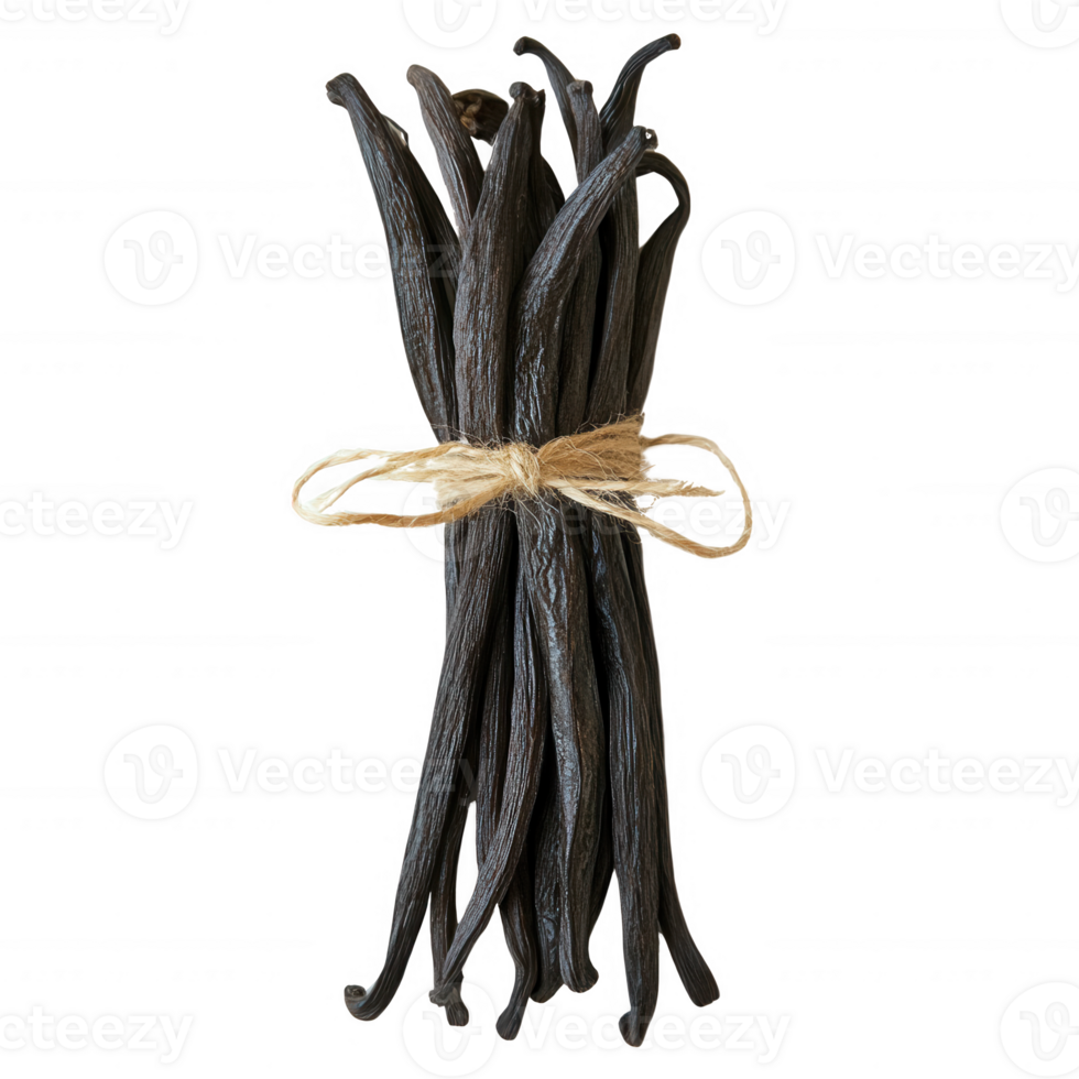 A bundle of dried vanilla beans tied with twine, perfect for culinary uses. png