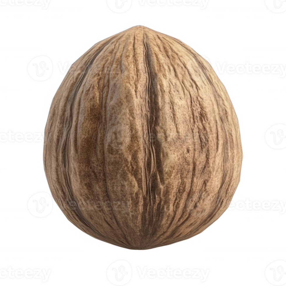 A close-up of a walnut shell showcasing its textured surface and natural colors. png