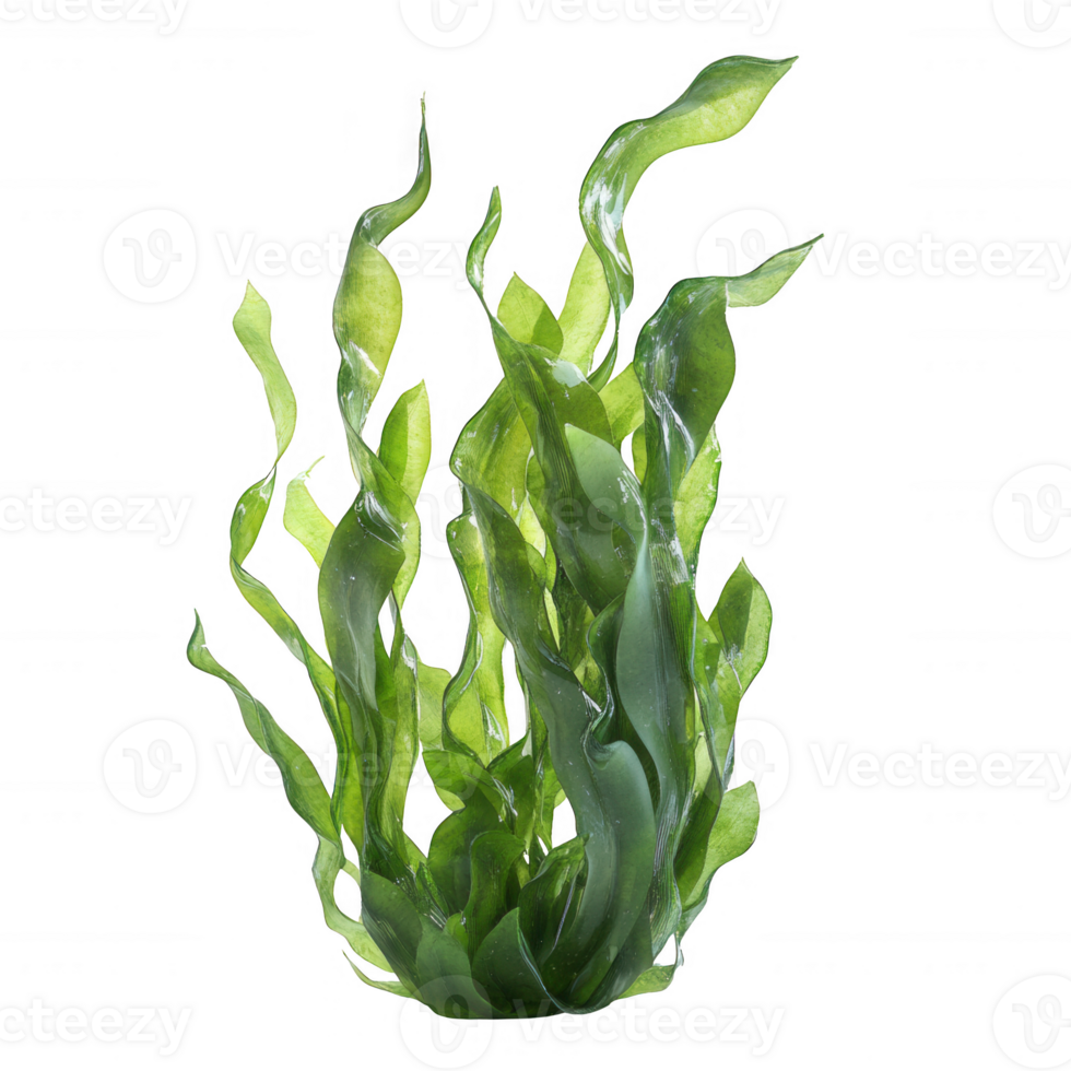 Vibrant green aquatic plants swaying gently, creating a serene underwater atmosphere. png