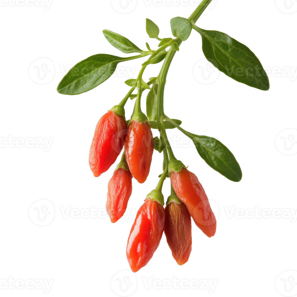 Fresh goji berries growing on a branch with vibrant green leaves, perfect for healthy diets. png