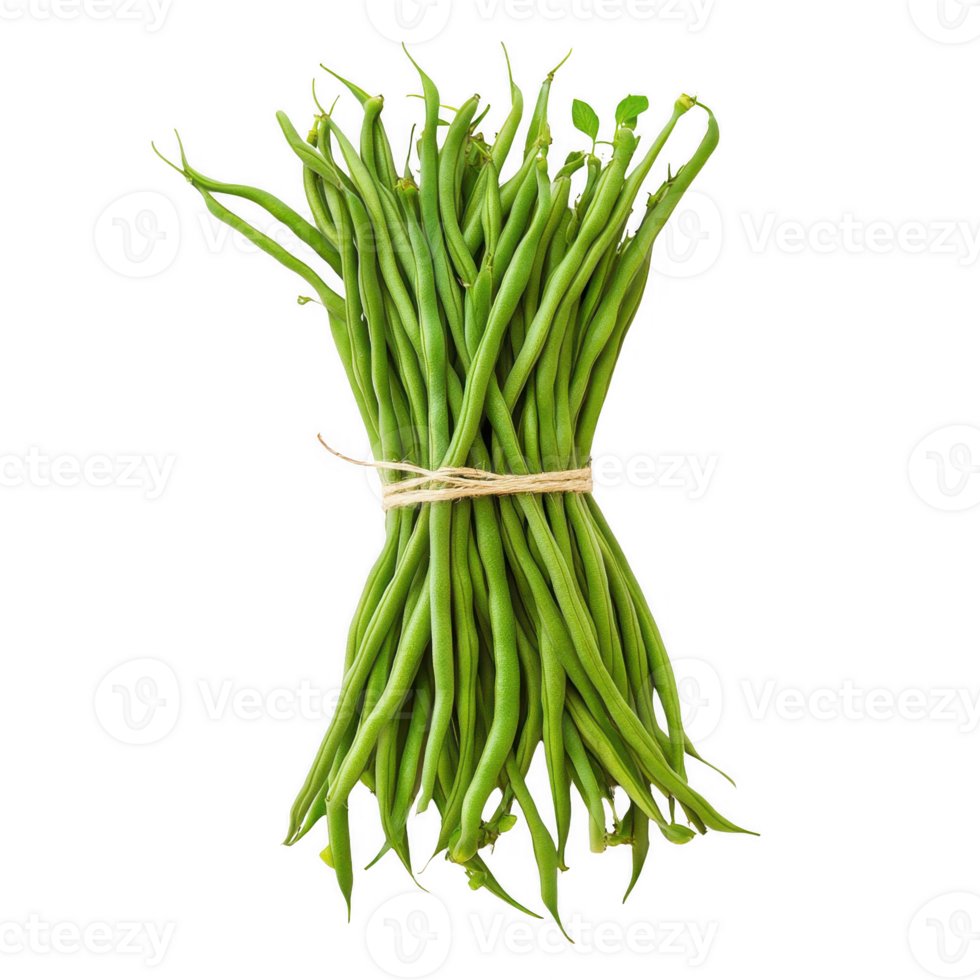 Fresh green beans tied with twine, ideal for healthy recipes and culinary presentations. png