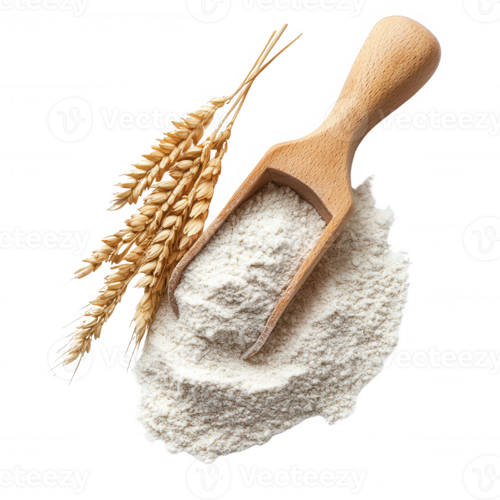 Fresh wheat flour with a wooden scoop and golden wheat stalks for baking and cooking. png