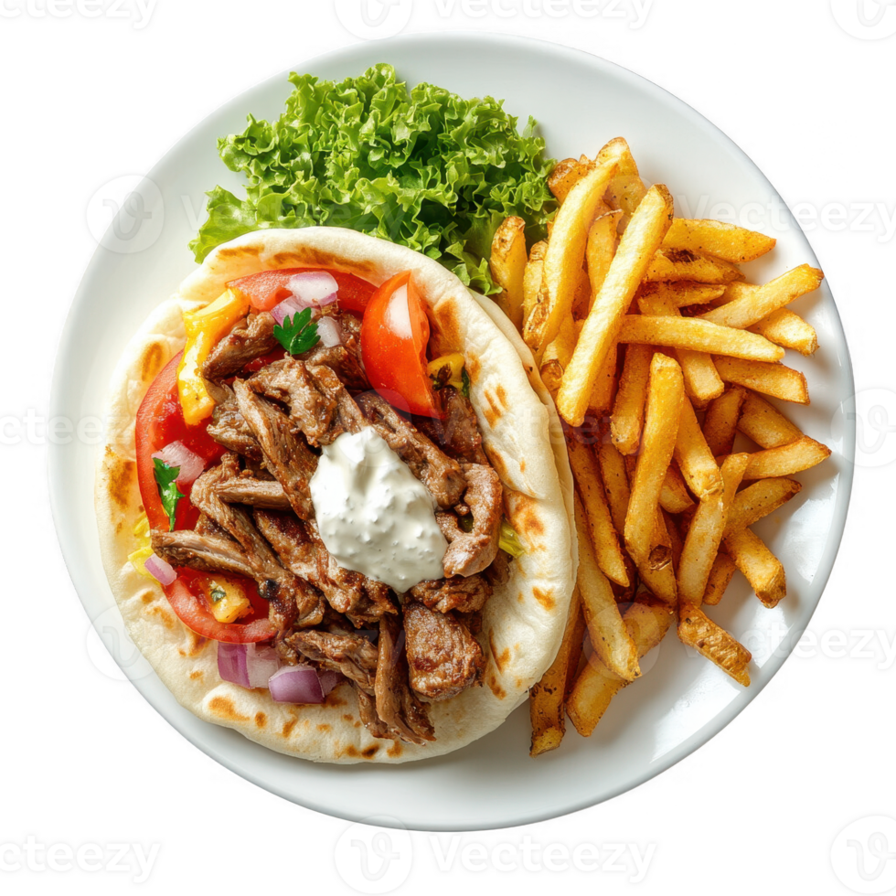 Delicious pita filled with meat, fresh vegetables, and a side of crispy fries. png