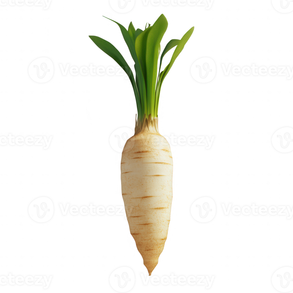 Fresh and vibrant radish with leafy greens, perfect for health and nutrition themes. png