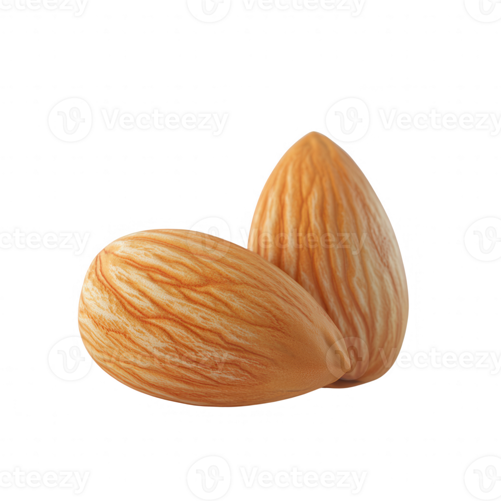 Two fresh almonds with natural texture and color, perfect for healthy snacks. png