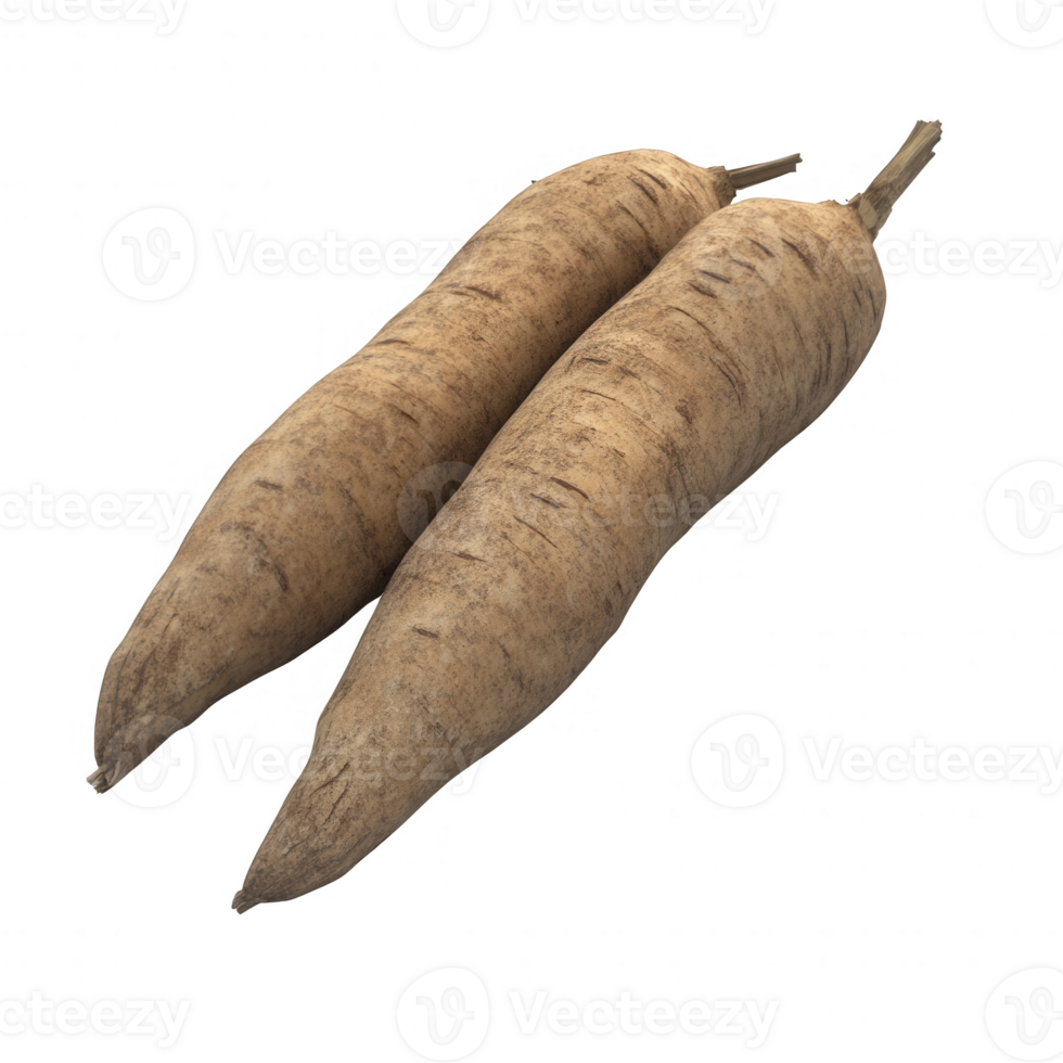 Two long, raw vegetables with a rough brown exterior on a white background. png