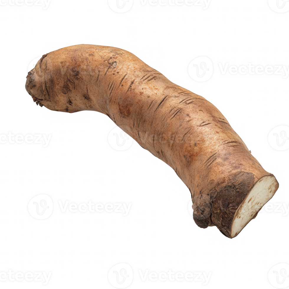 Fresh horseradish root with earthy texture and unique shape, perfect for culinary use. png