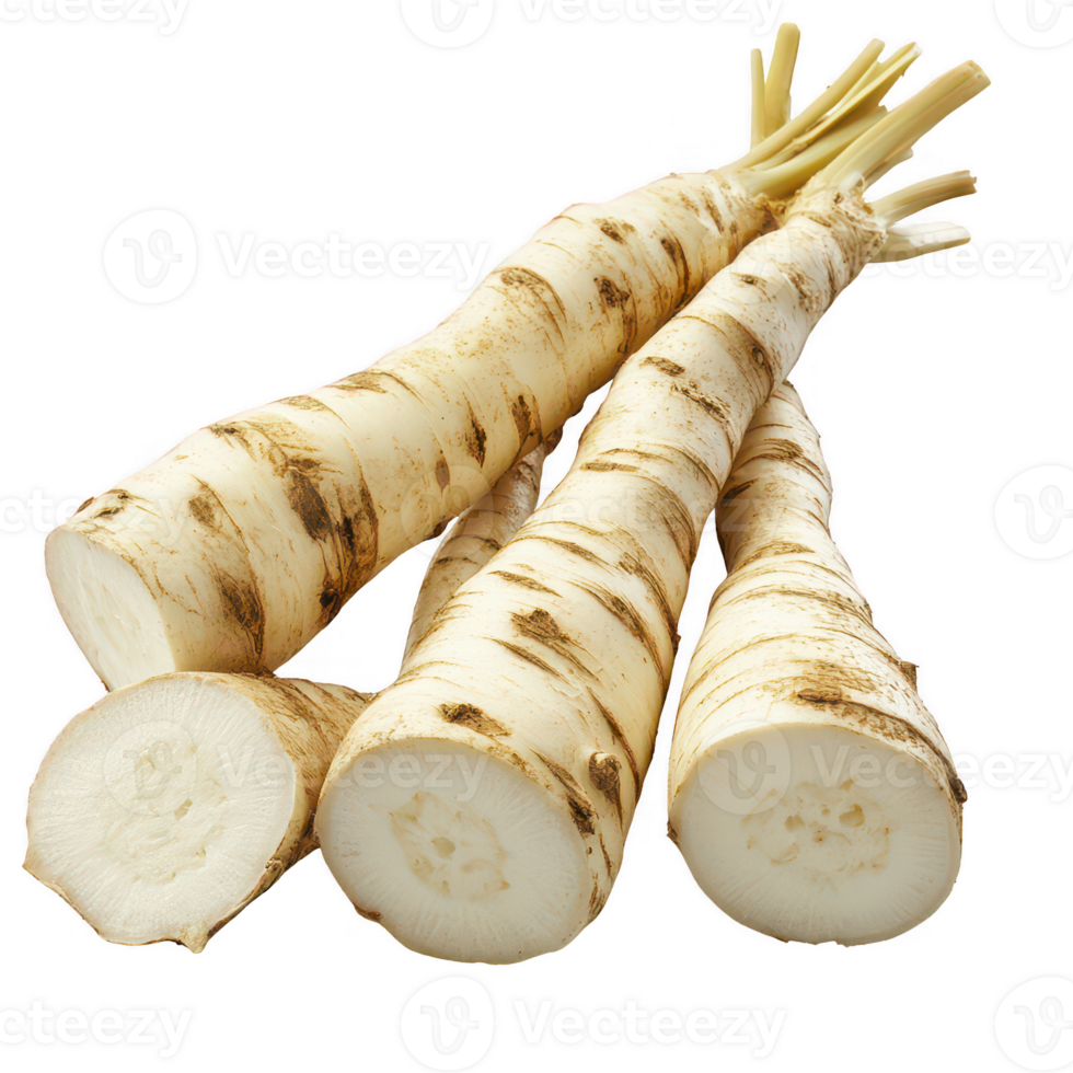 Freshly harvested horseradish roots ready for culinary use and flavor enhancement. png