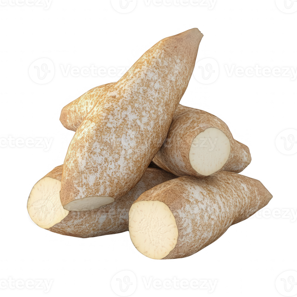 Fresh and healthy cassava roots stacked for cooking and nutrition. png