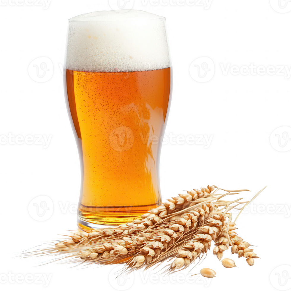 A refreshing glass of beer alongside golden wheat, perfect for beverage themes. png