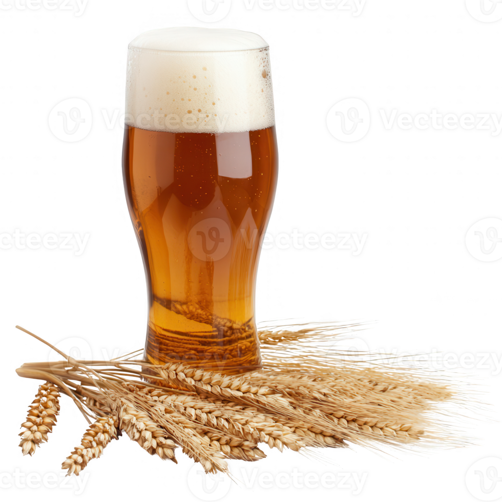 A refreshing glass of beer with golden color and wheat grains beside it. png