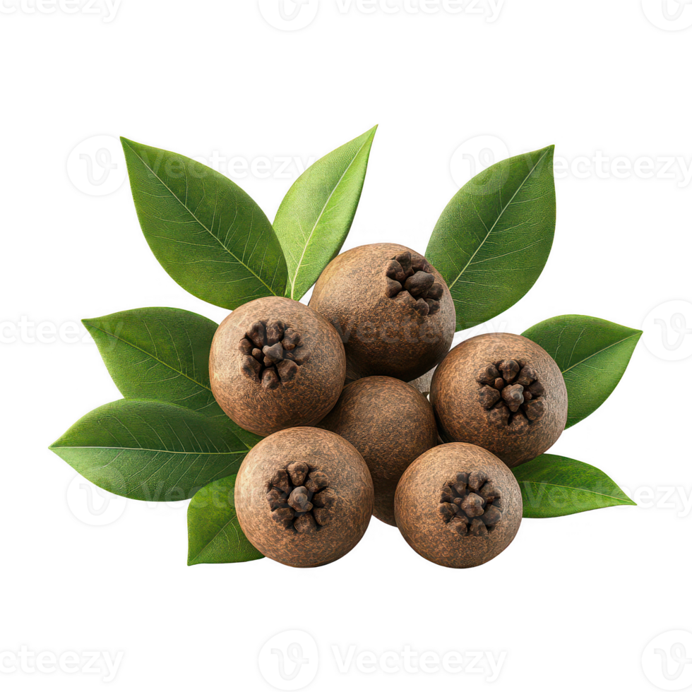 A cluster of sapodilla fruits surrounded by fresh green leaves on a white background. png