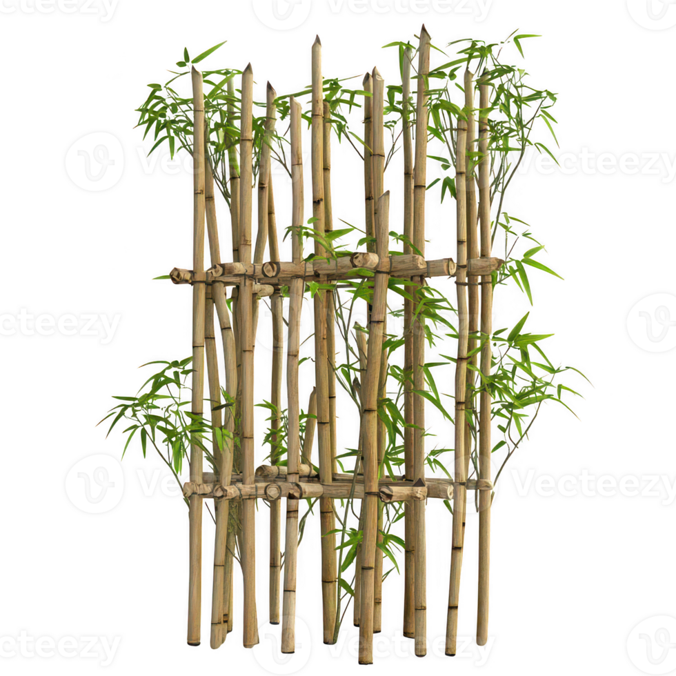 A natural bamboo fence surrounded by lush green bamboo plants. png