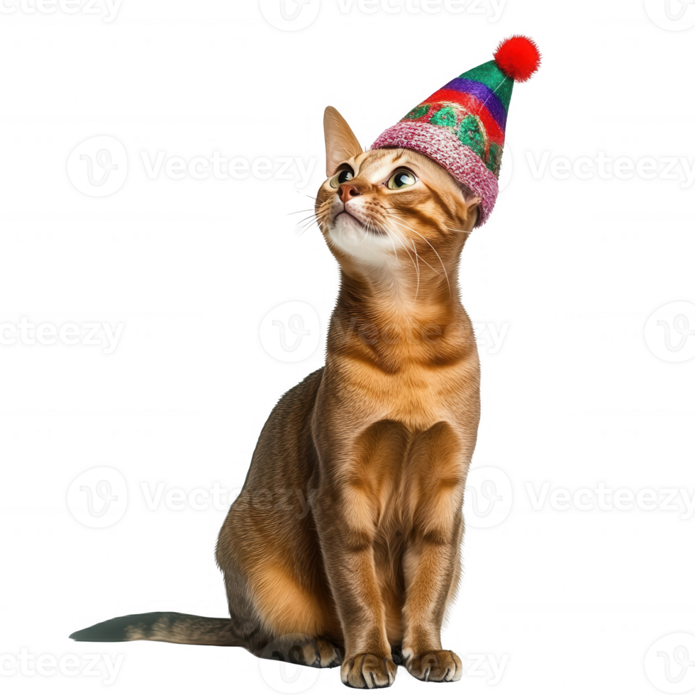 A playful cat wearing a colorful festive hat, looking curiously at its surroundings. png