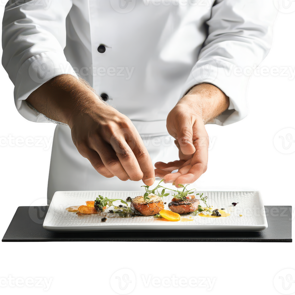 A chef elegantly plating a gourmet dish, showcasing culinary artistry and precision. png