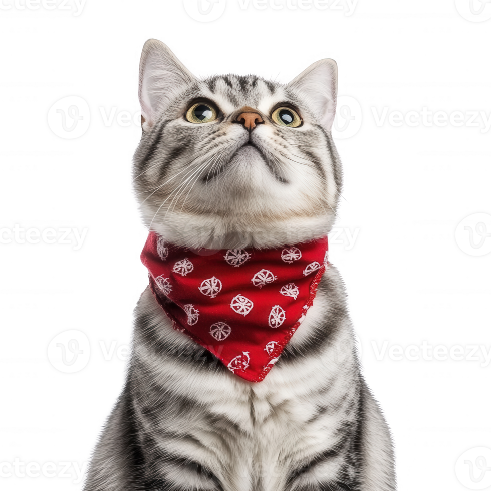 Whimsical cat wearing a vibrant red bandana, looking upwards with curious expression. png