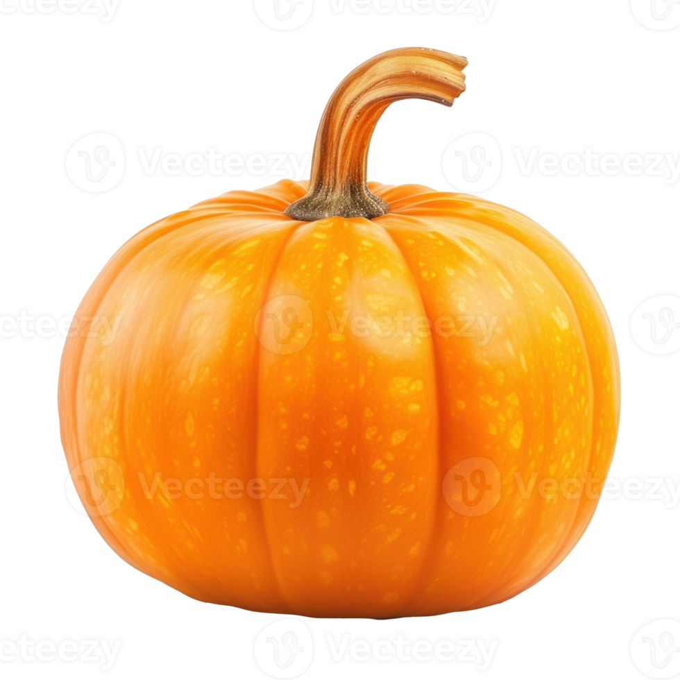 Pumpkin isolated on transparent or transparent background png