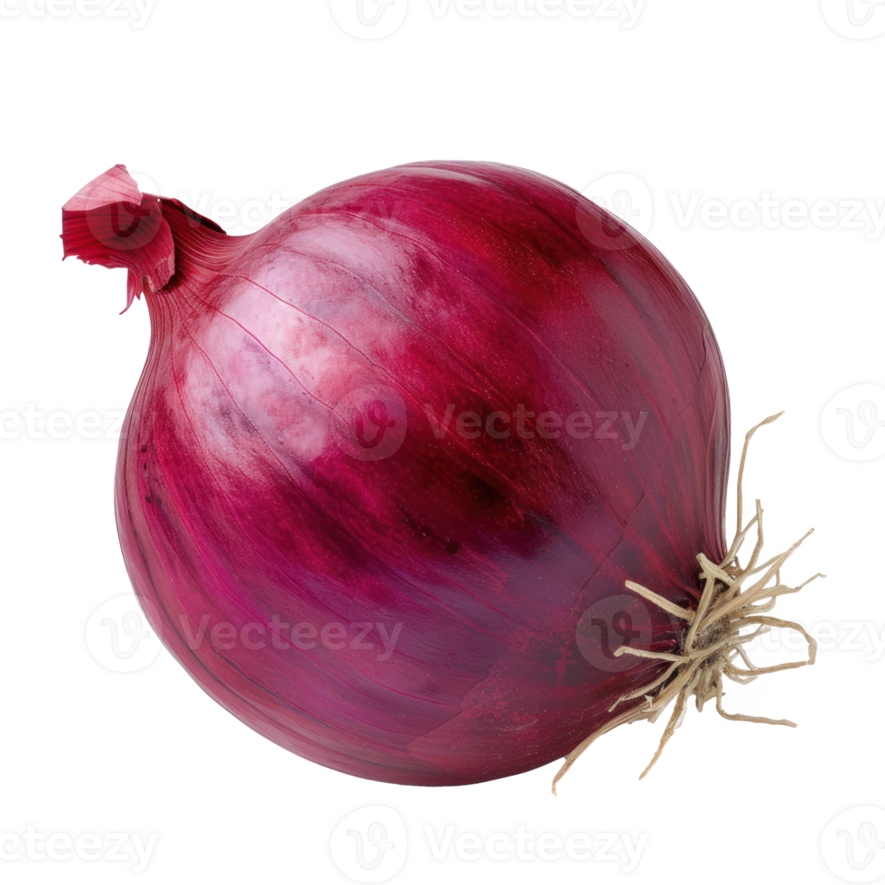 a simple plain, stand-alone Onion full image, pixar style, vivid color transparent background png