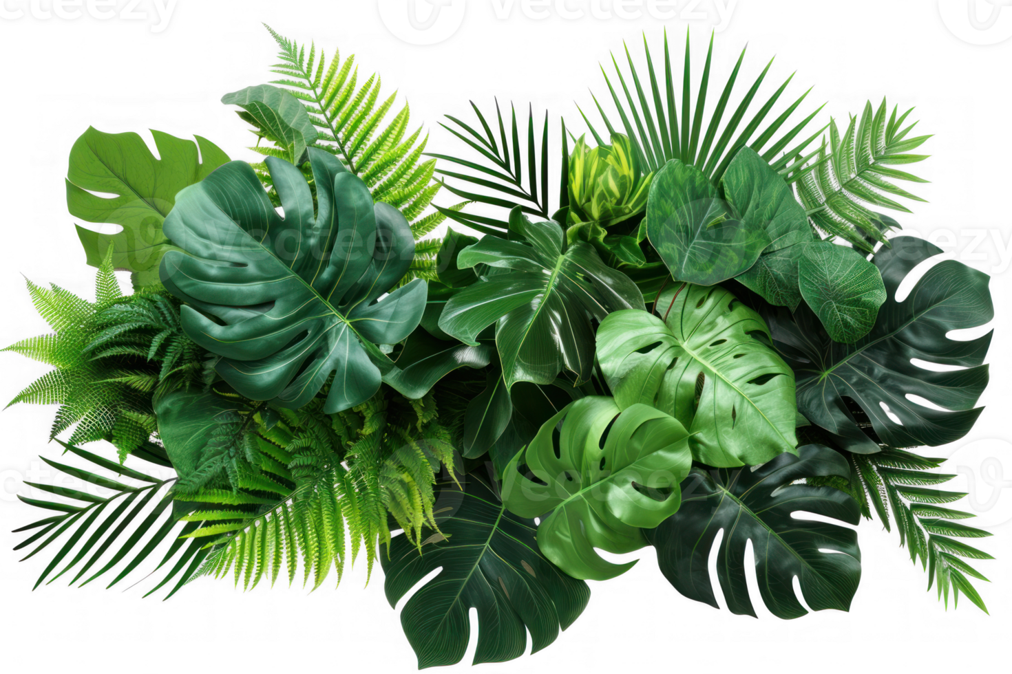 Tropical leaves foliage plant jungle bush floral arrangement nature backdrop isolated on transparent background png