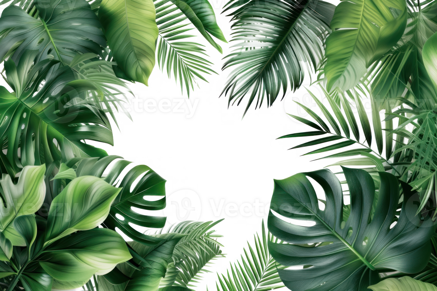 floral tropical leaves composition view from the top with transparent background png