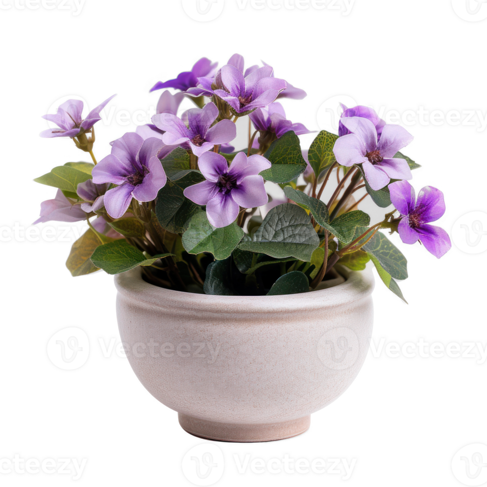 photo realistic simple cute little purple miniature flower arrangement isolated on a transparent background png