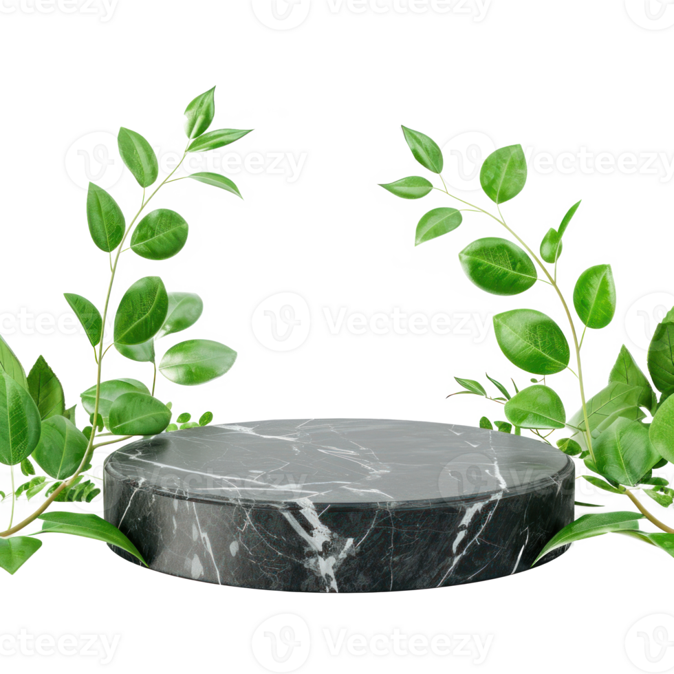 black stone marble podium with green leave behind, transparent background png