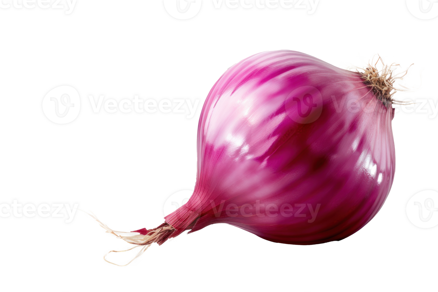 Fresh onion bulb isolated on transparent transparent background png