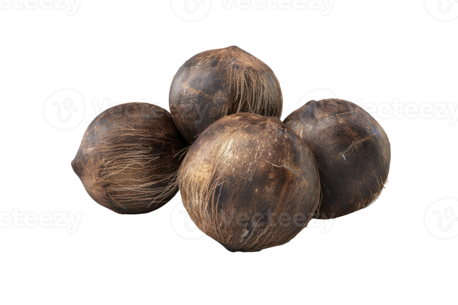 real Coconuts, 3D octane rendering, no shadow, isolated transparent background png