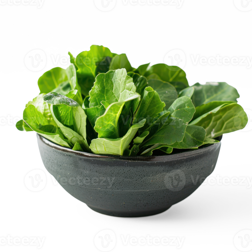 a bowl of fresh green leetuce close up side view green leaves only on a transparent background png