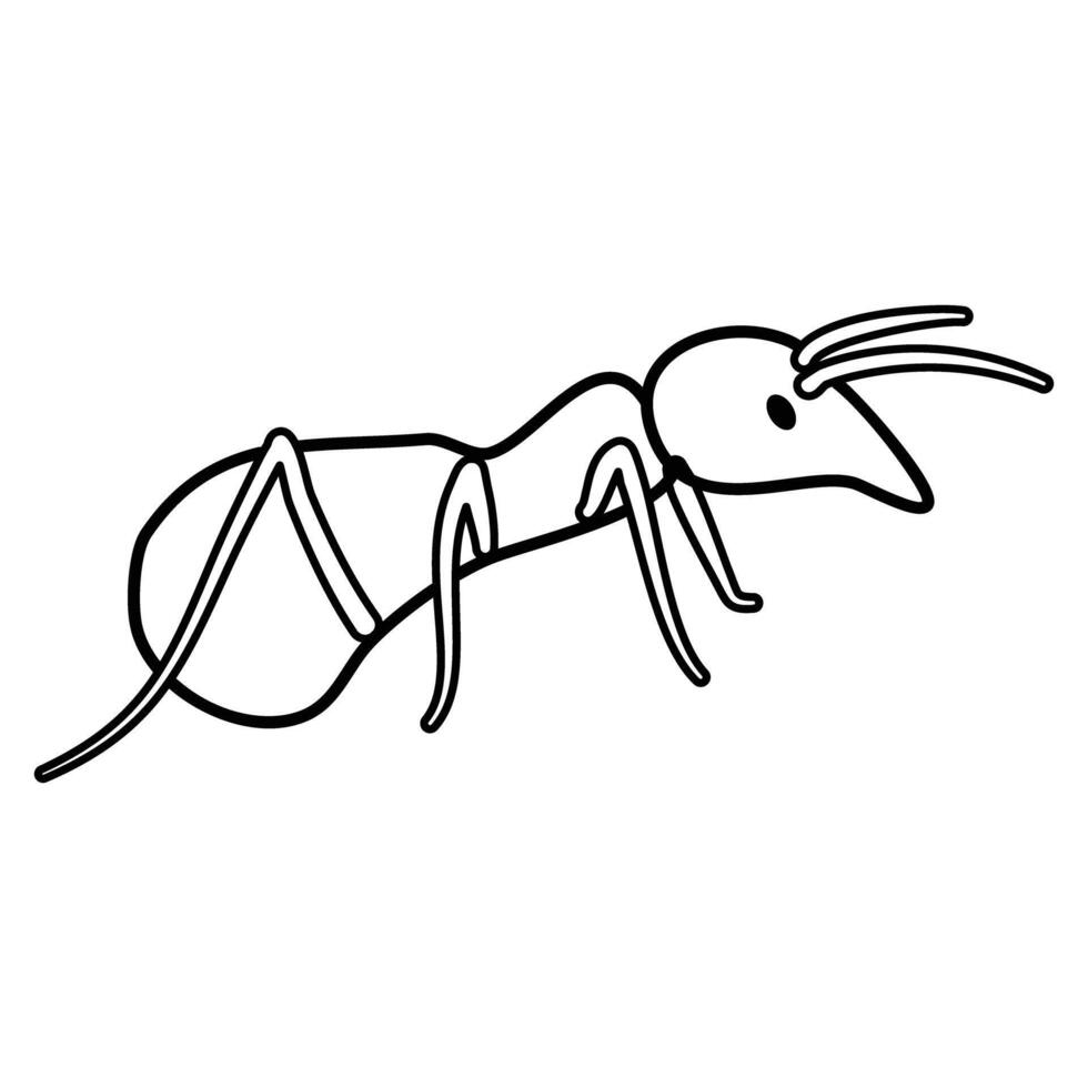 Ant coloring pages book for kids vector