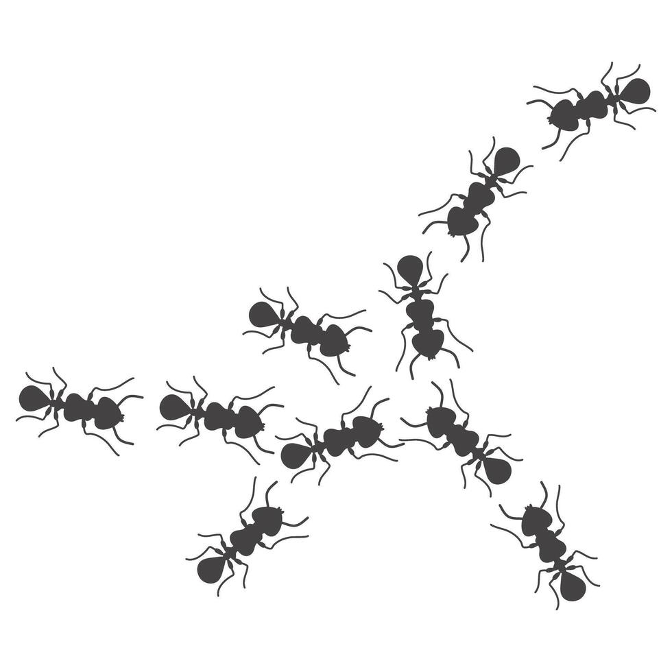 Chaotic Ant trail way illustration vector