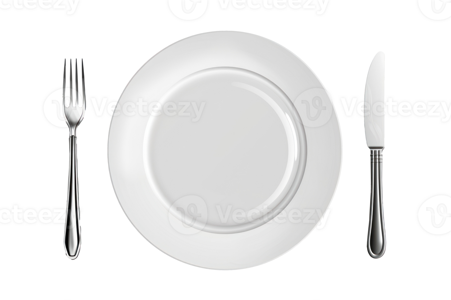 professional graphic of a simple plate, silver colour, transparent background png