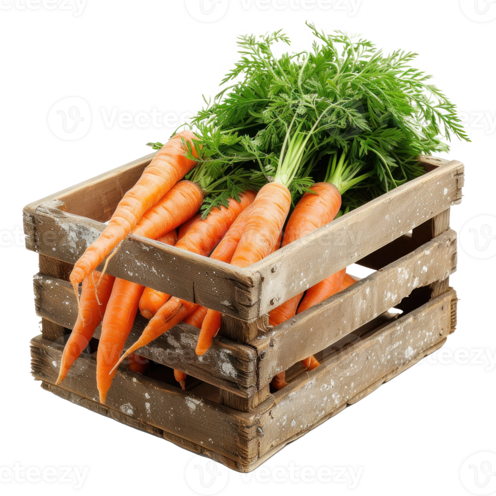 A crate of Carrot on transparent background png