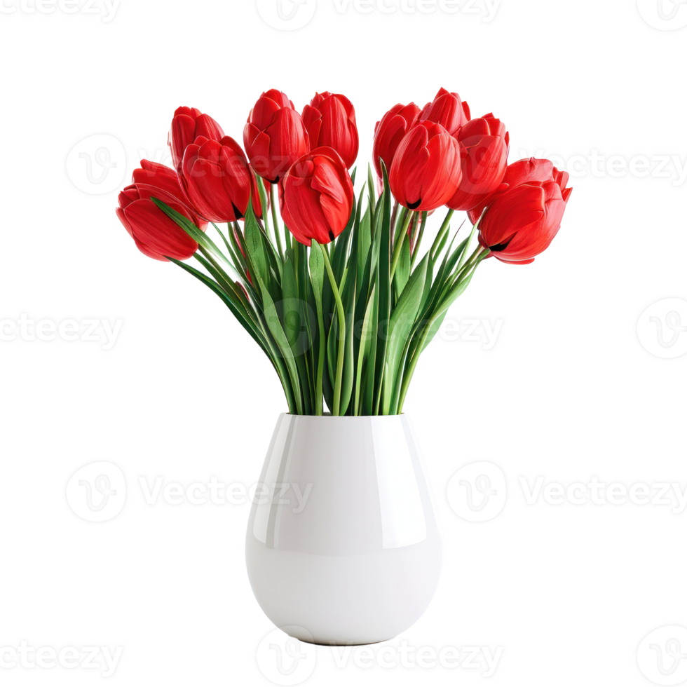 red tulips in a white vase on a transparent background png