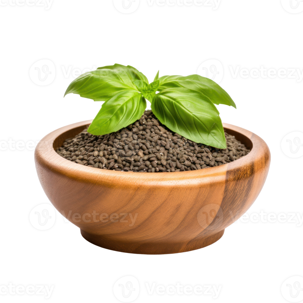 Basil seeds in wooden bowl isolated on transparent background png