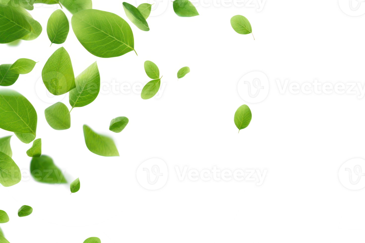 green leaves falling from the sky on a transparent background png