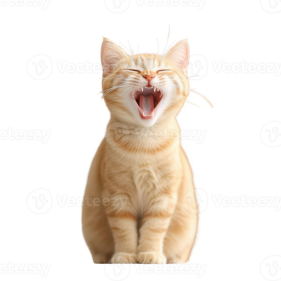 A playful orange cat yawning with a joyful expression, showcasing its vibrant personality. png