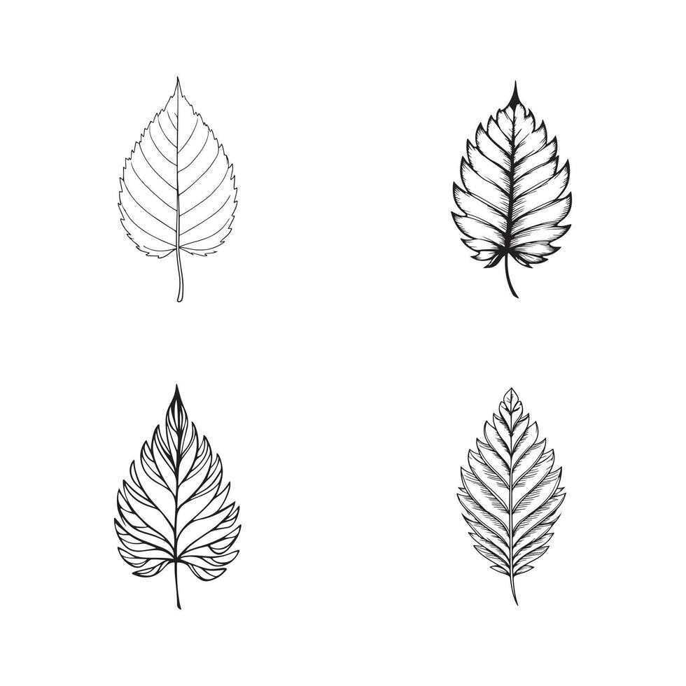 Silhouette Leaf Illustrations Stunning Designs for Every Project vector