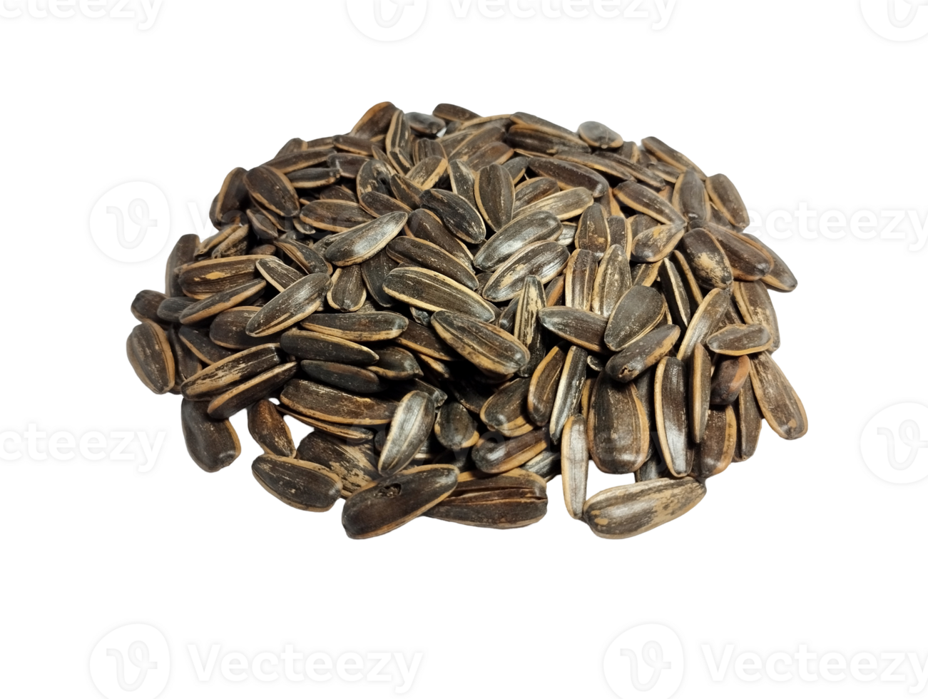 a group of isolated sunflower seeds no background png